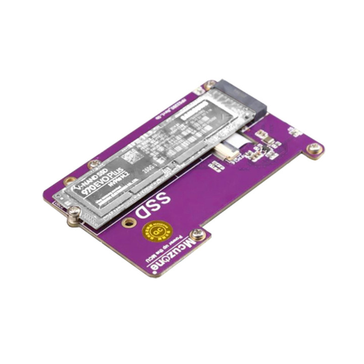Raspberry Pi 5 Custodia Big con Supporti VESA