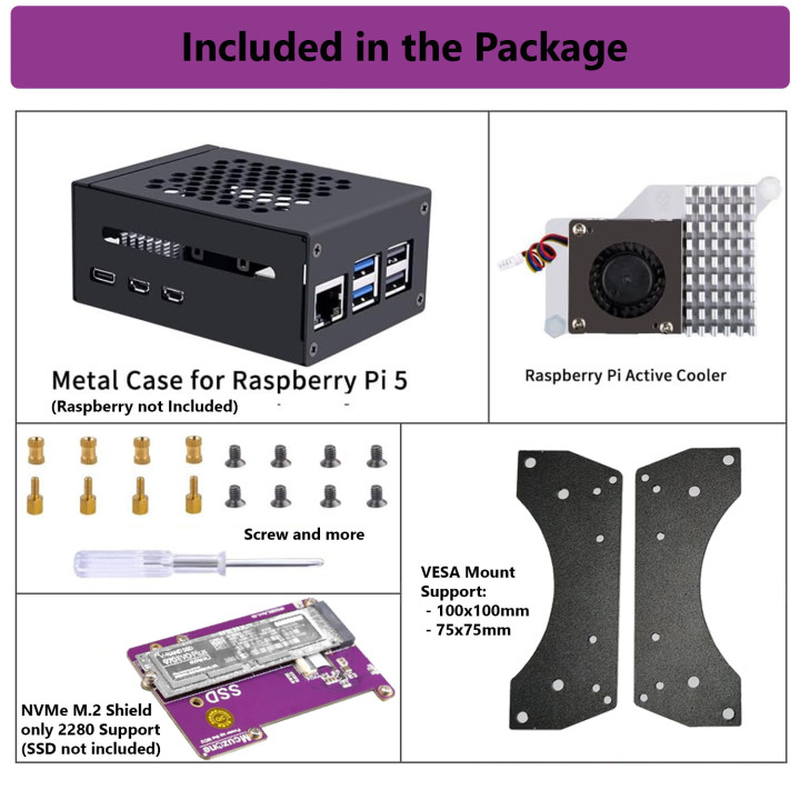 Raspberry Pi 5 Custodia Big con Supporti VESA
