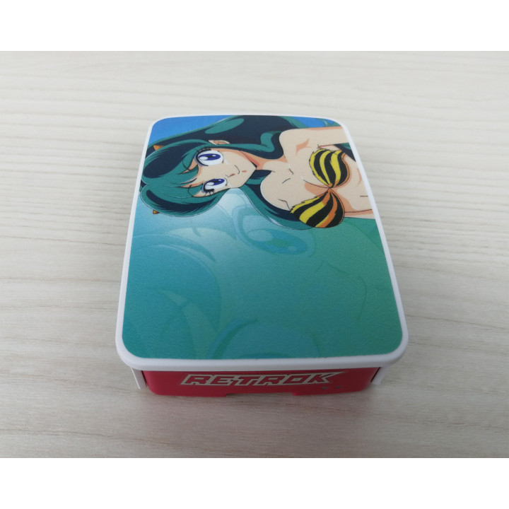 RetroK Case Stickers Heatsinks for Raspberry PI3 or PI4 - Lamù