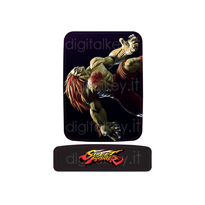 RetroK Case Stickers Heatsinks for Raspberry PI3 or PI4 - Street Fighter Blanka