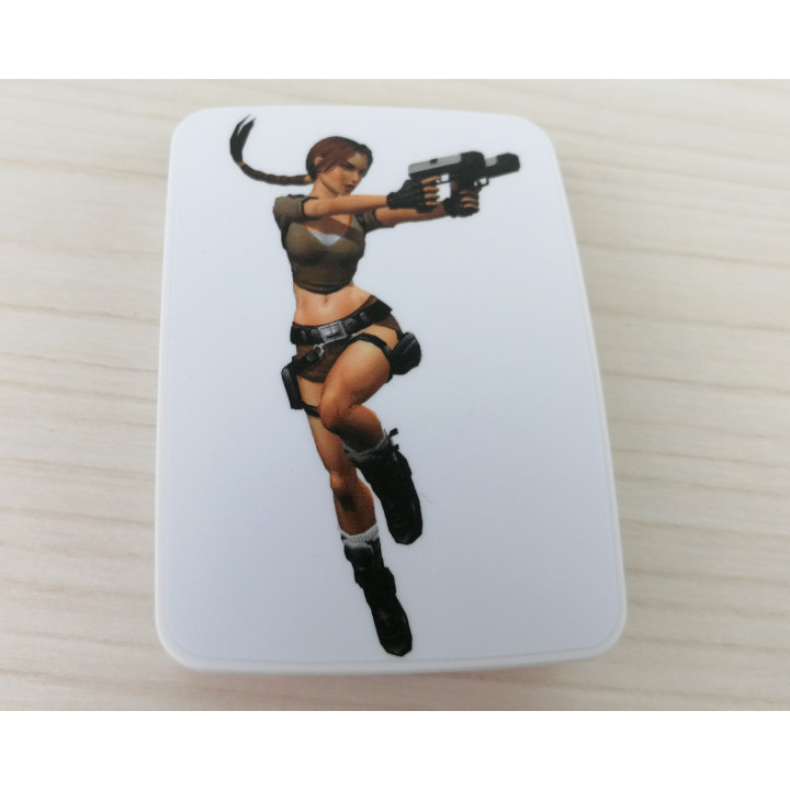 RetroK Case Stickers Heatsinks for Raspberry PI3 or PI4 - Tomb Raider