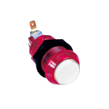 MOD.04/TR Edierre Pulsante Luminoso per Cabinato - 12Vdc